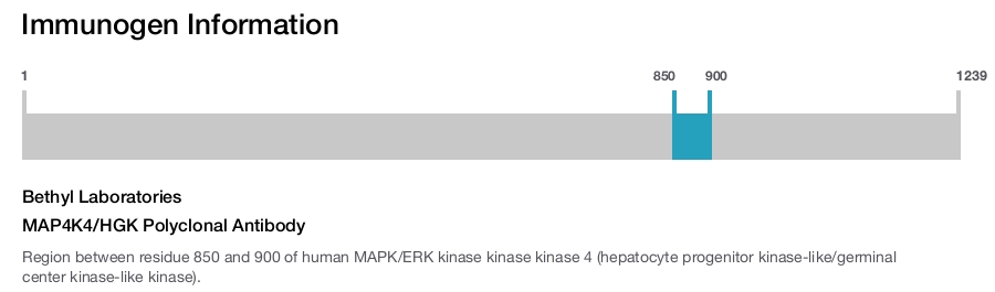 MAP4K4/HGK Polyclonal Antibody