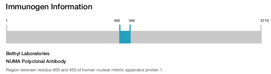 NUMA Polyclonal Antibody