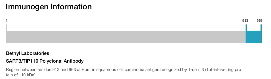SART3/TIP110 Polyclonal Antibody