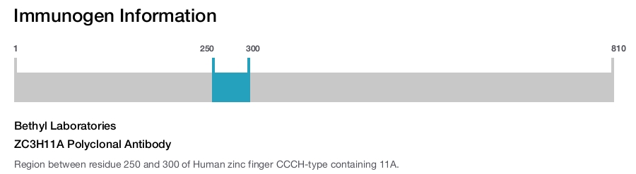 ZC3H11A Polyclonal Antibody