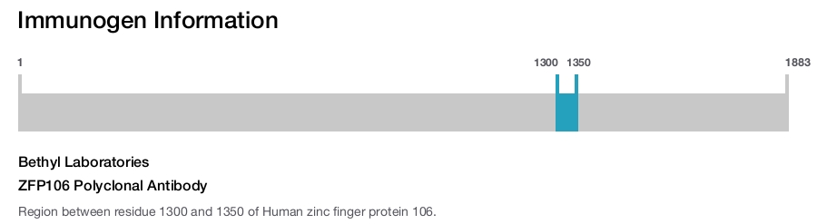 ZFP106 Polyclonal Antibody
