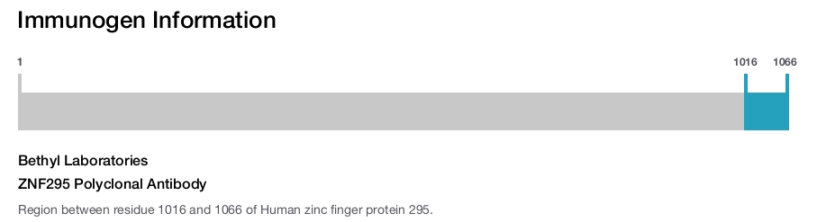 ZNF295 Polyclonal Antibody