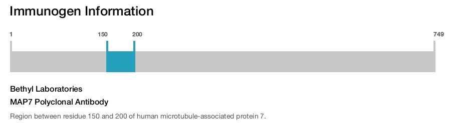 MAP7 Polyclonal Antibody