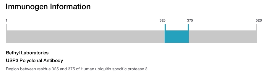 USP3 Polyclonal Antibody