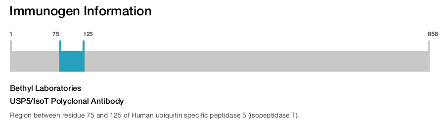 USP5/IsoT Polyclonal Antibody