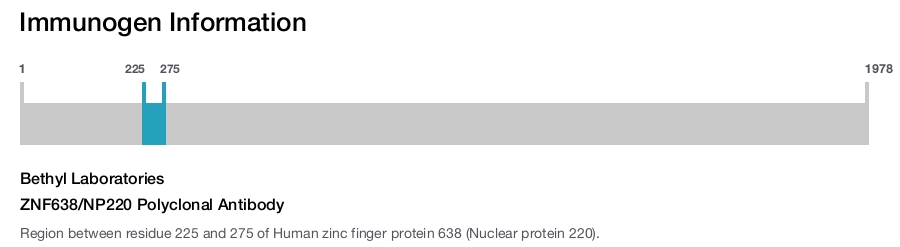 ZNF638/NP220 Polyclonal Antibody