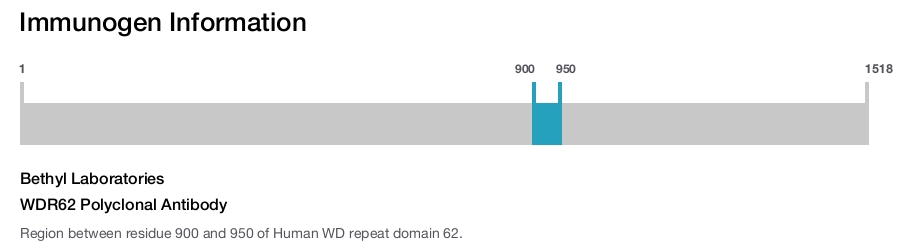 WDR62 Polyclonal Antibody