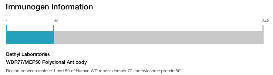 WDR77/MEP50 Polyclonal Antibody