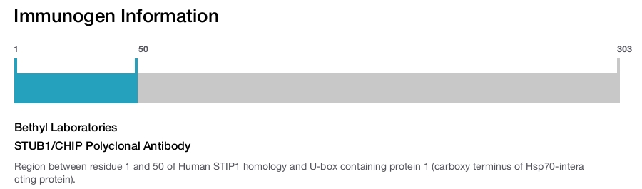 STUB1/CHIP Polyclonal Antibody
