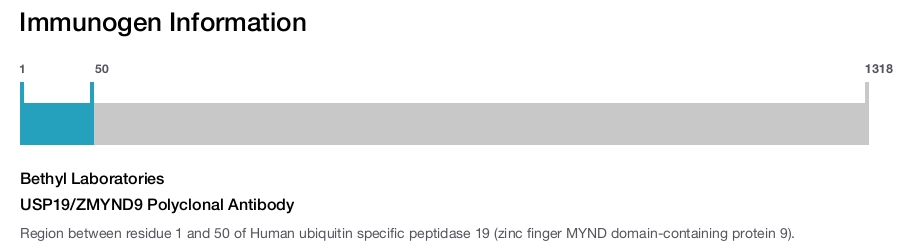 USP19/ZMYND9 Polyclonal Antibody