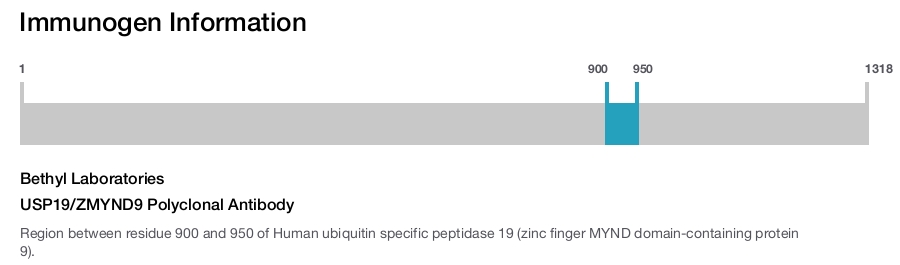 USP19/ZMYND9 Polyclonal Antibody