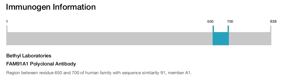 FAM91A1 Polyclonal Antibody