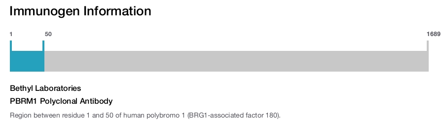 PBRM1 Polyclonal Antibody