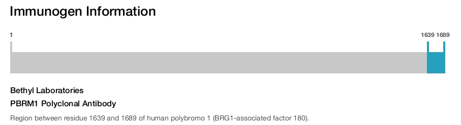 PBRM1 Polyclonal Antibody