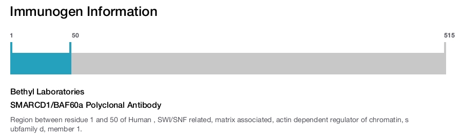 SMARCD1/BAF60a Polyclonal Antibody