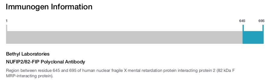 NUFIP2/82-FIP Polyclonal Antibody