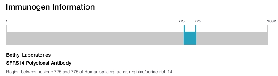 SFRS14 Polyclonal Antibody