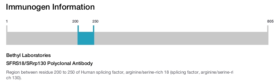 SFRS18/SRrp130 Polyclonal Antibody