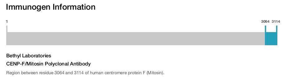 CENP-F/Mitosin Polyclonal Antibody
