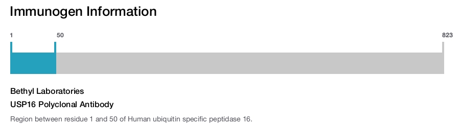USP16 Polyclonal Antibody