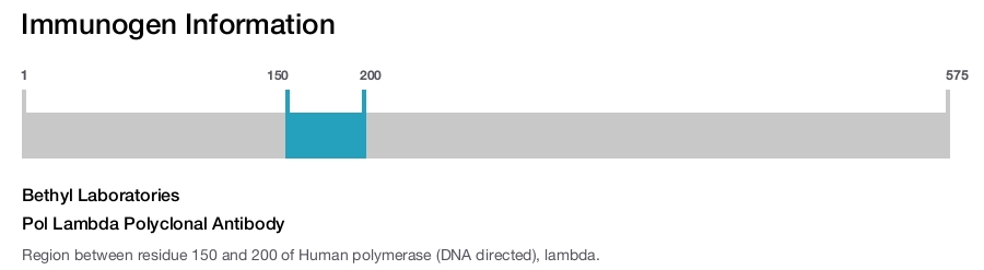Pol Lambda Polyclonal Antibody