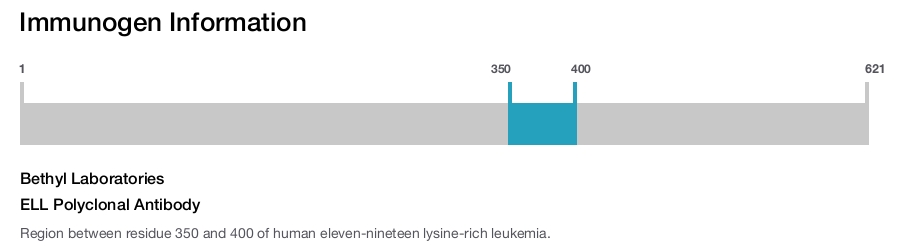 ELL Polyclonal Antibody