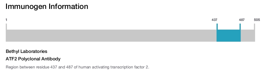 ATF2 Polyclonal Antibody
