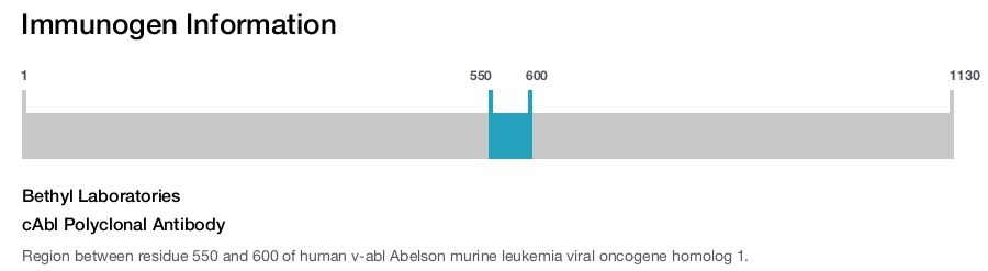 cAbl Polyclonal Antibody