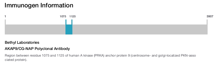 AKAP9/CG-NAP Polyclonal Antibody