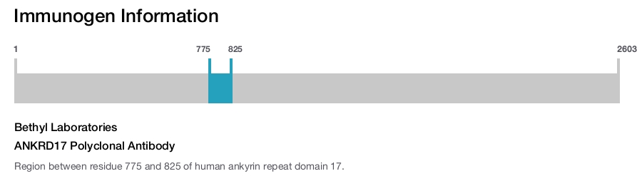 ANKRD17 Polyclonal Antibody