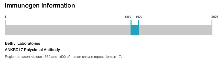 ANKRD17 Polyclonal Antibody
