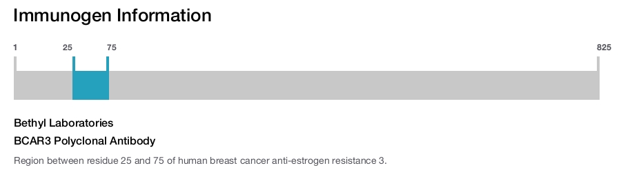 BCAR3 Polyclonal Antibody