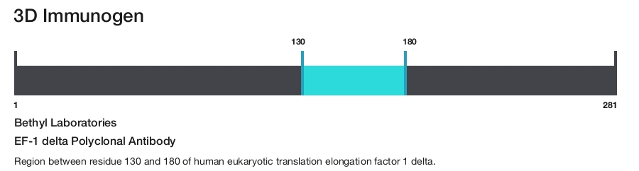 EF-1 delta Polyclonal Antibody