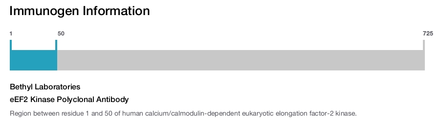 eEF2 Kinase Polyclonal Antibody
