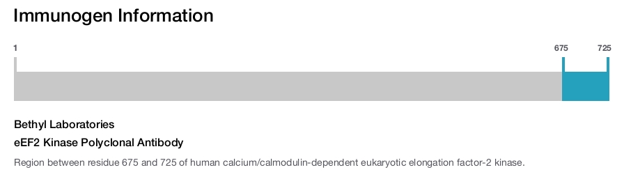 eEF2 Kinase Polyclonal Antibody