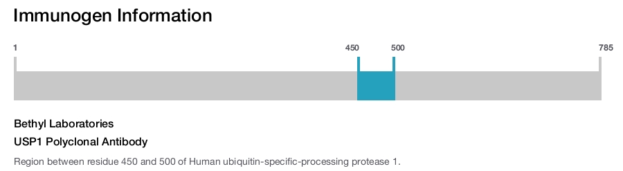 USP1 Polyclonal Antibody