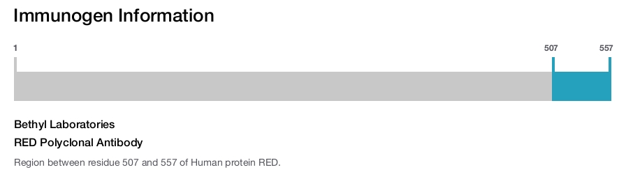 RED Polyclonal Antibody