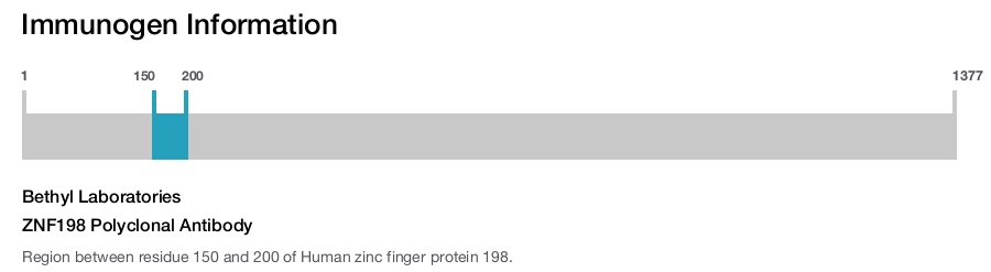 ZNF198 Polyclonal Antibody