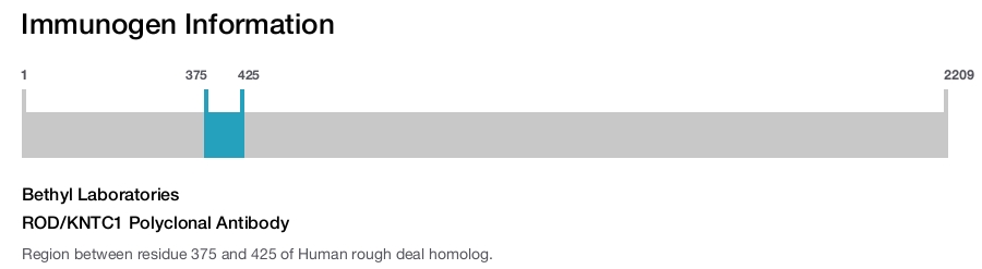 ROD/KNTC1 Polyclonal Antibody