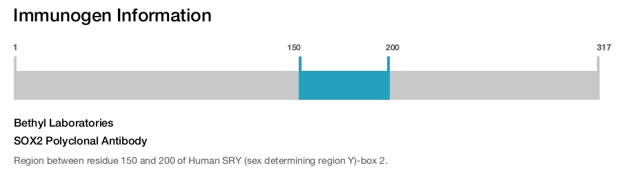 SOX2 Polyclonal Antibody