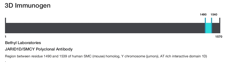 JARID1D/SMCY Polyclonal Antibody