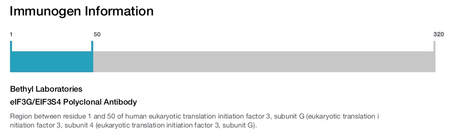 eIF3G/EIF3S4 Polyclonal Antibody