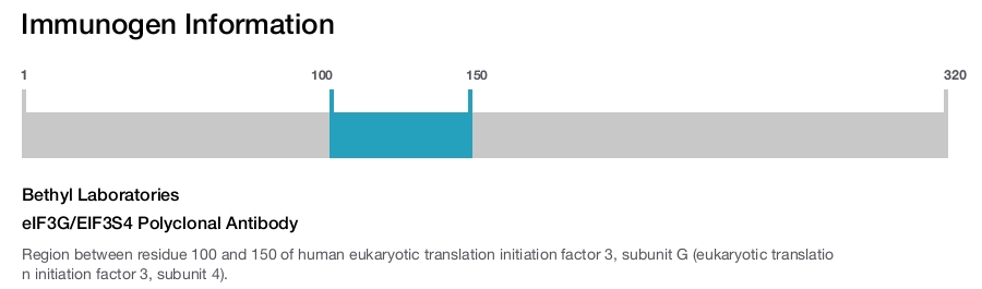 eIF3G/EIF3S4 Polyclonal Antibody