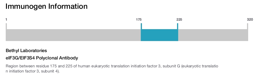 eIF3G/EIF3S4 Polyclonal Antibody