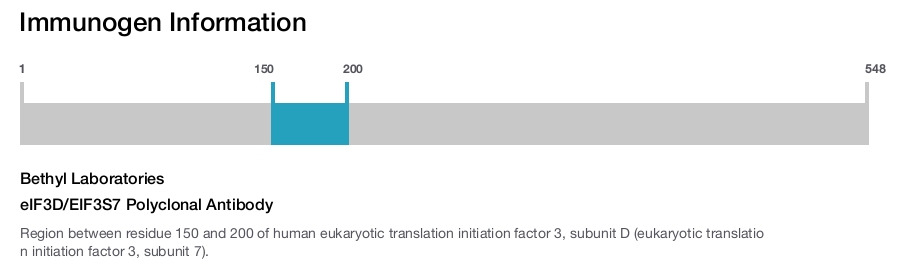 eIF3D/EIF3S7 Polyclonal Antibody