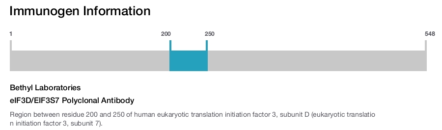 eIF3D/EIF3S7 Polyclonal Antibody