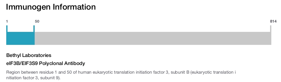 eIF3B/EIF3S9 Polyclonal Antibody