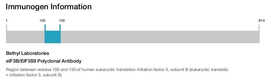 eIF3B/EIF3S9 Polyclonal Antibody
