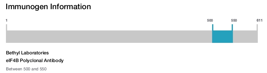 eIF4B Polyclonal Antibody