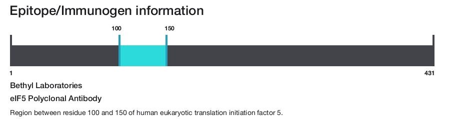 eIF5 Polyclonal Antibody